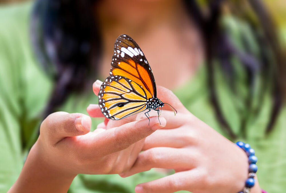 Zdjęcia z motylami – pomysły na sesje zdjęciowe