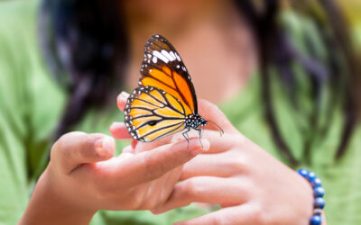 Zdjęcia z motylami – pomysły na sesje zdjęciowe
