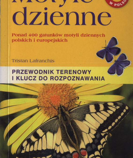 największe polskie motyle