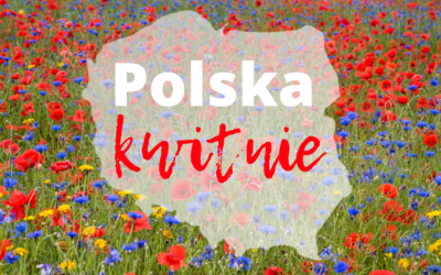 Zostaliśmy partnerami konkursu „Polska Kwitnie”